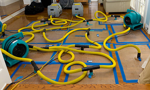 Professional Sewage Cleanup technician working in Fife Lake, MI